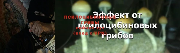 spice Нягань