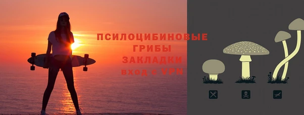 прущие крисы Новодвинск